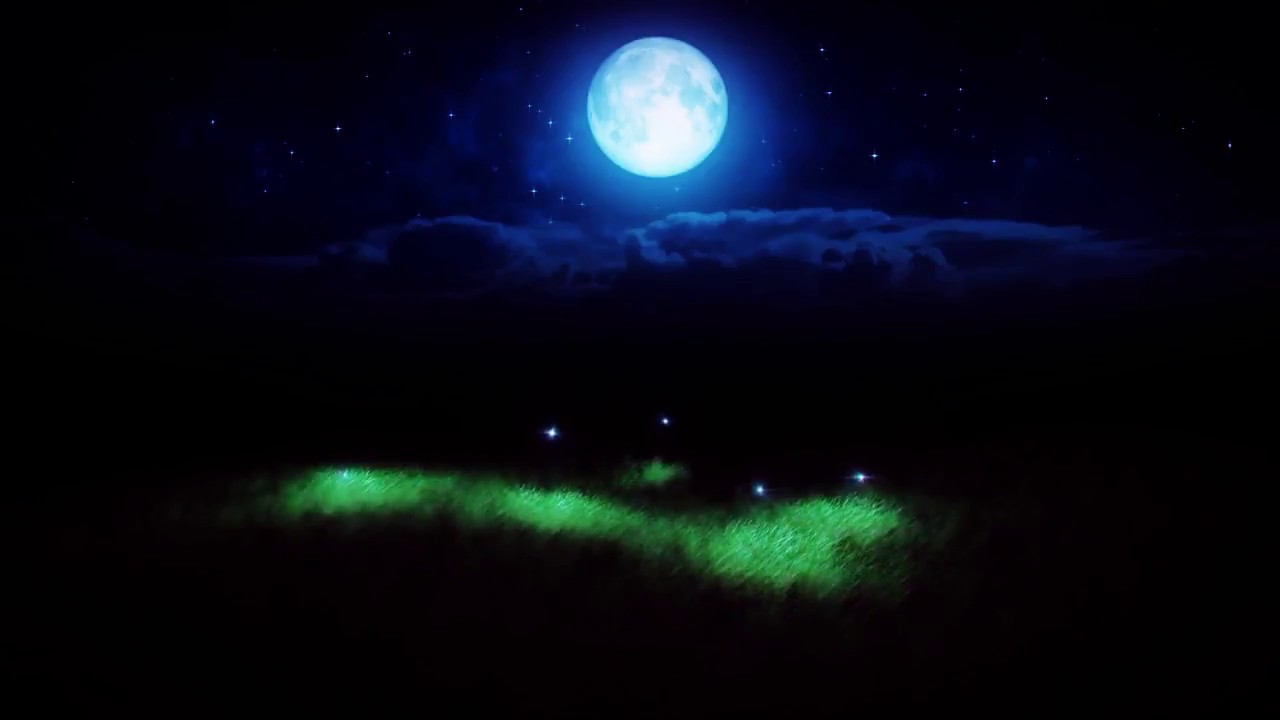 Lightning Bugs Night Nature Sounds YouTube