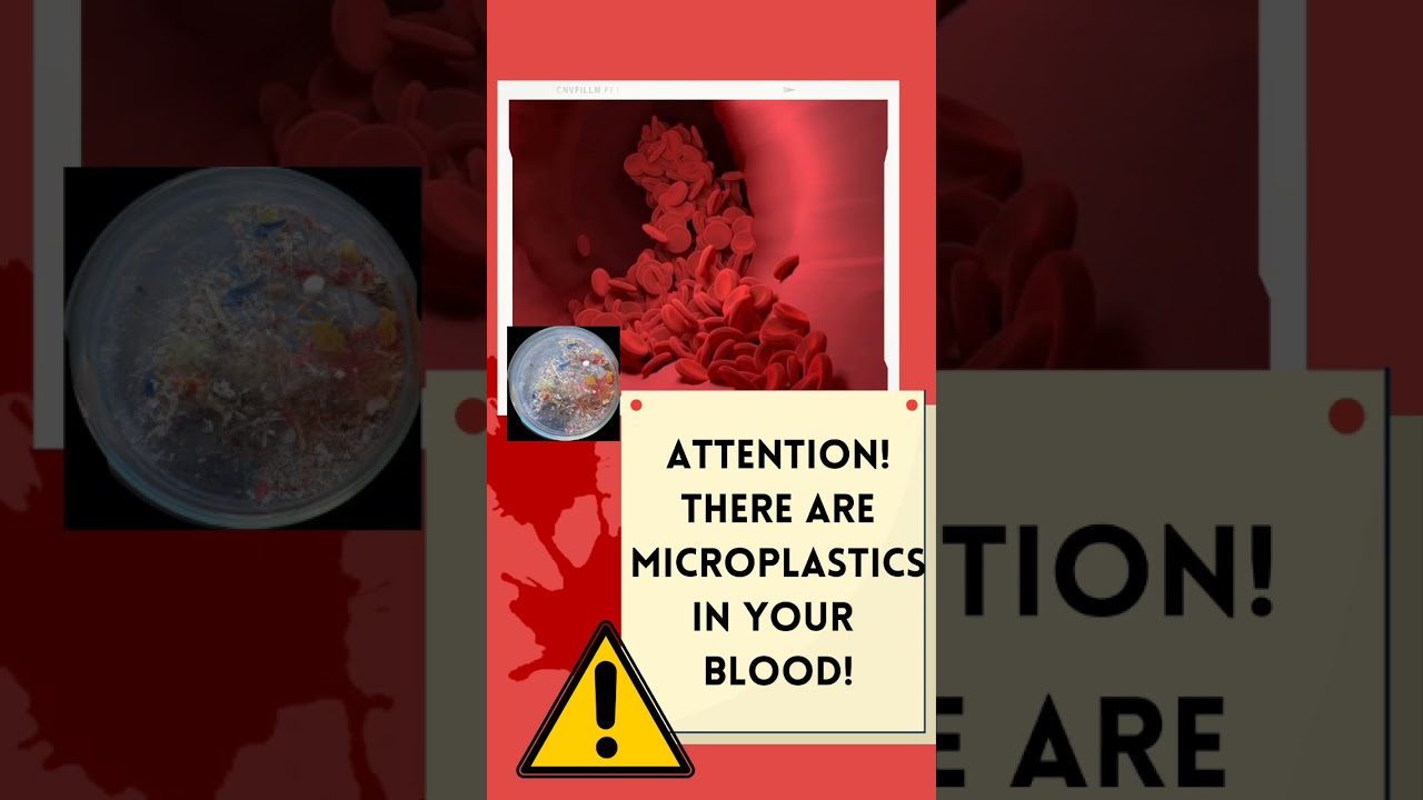 Scientists find tiny microplastic particles in 80% of people tested