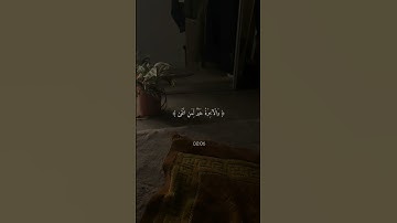 قران كريم/ حالة وتساب 🌿😴