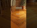 Our brand new engineered wood flooring is now available at selected stores* 🪵 Come check it out!