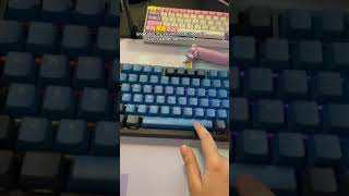 I got my bf a custom keyboard - GMMK Pro with Holy Pandas