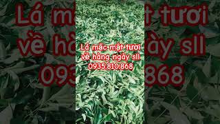 Gia Vị Ướp Vịt phối sẵn + Lá Mắc Mật Tươi Đà Nẵng