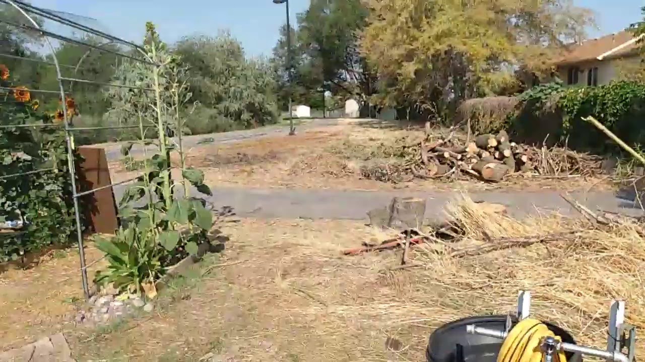 VIDEO LIVESTREAM UT visual data 7