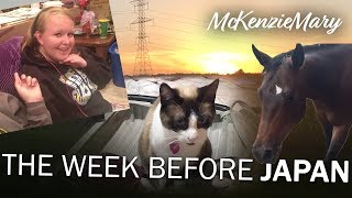 The Week Before Japan! (McKenzieMary Vlog)