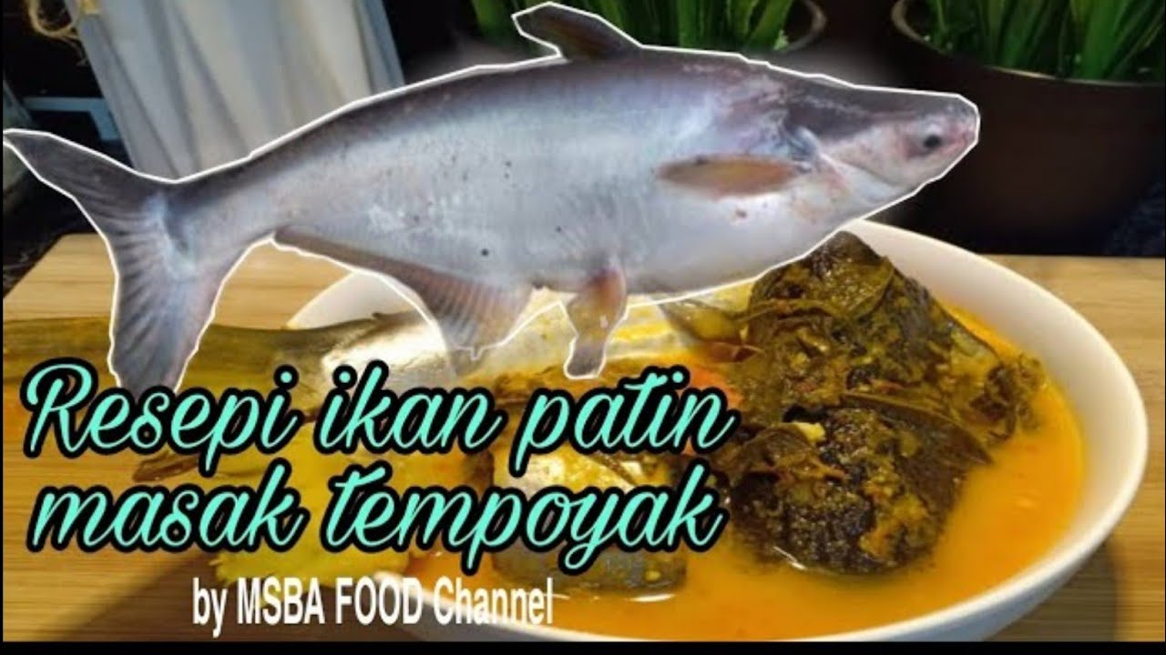 Resepi Ikan Patin Masak Tempoyak Original Pahang