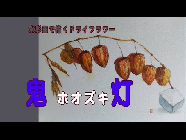 アトリエGの絵画空間】#70水彩で描くドライフラワー「鬼灯（ホオズキ