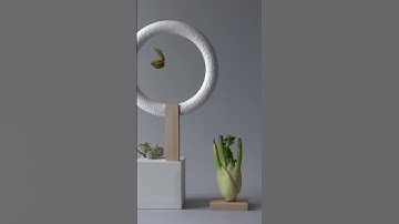 Static Equilibrium Explained in 60 Seconds!