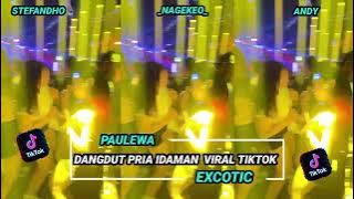 DANGDUT PRIA IDAMAN VIRAL TIKTOK 2026_STEFANDHO_ANDY RMXR.