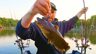 Catch Giant Flathead Catfish With This Easy Technique!