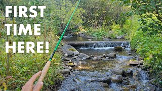 My First Time Fishing in New Mexico (Tenkara Fly Fishing)