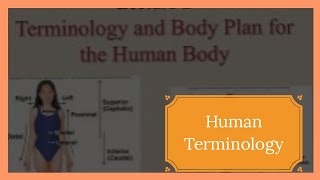 Neurology Terminology Explained | Perfect for learning and revision!. #terminology #acutelyphysio