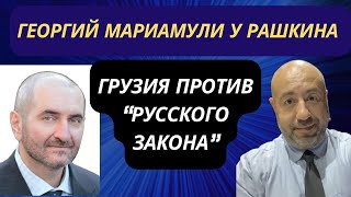 Георгий Мариамули у Рашкина: Грузия протестует против «Русского Закона».