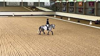 Wellington British Dressage Area Festival Prelim Freestyle 2023