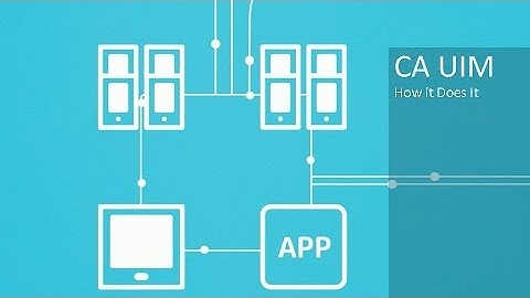 CA UIM How it Does It