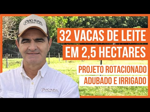 32 VACAS DE LEITE EM 2,5 HECTARES - PROJETO ROTACIONADO ADUBADO E IRRIGADO #parte9