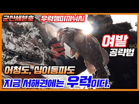 풍낚TV 우럭낚시/외수질/여밭공략법/군산권우럭생미끼낚시/어청도/십이동파도/군산세븐호/Cinematic Fishing Vlog