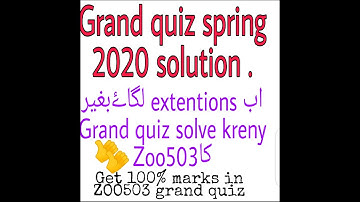 Grand quiz Of ZOO503, solution, preparation
