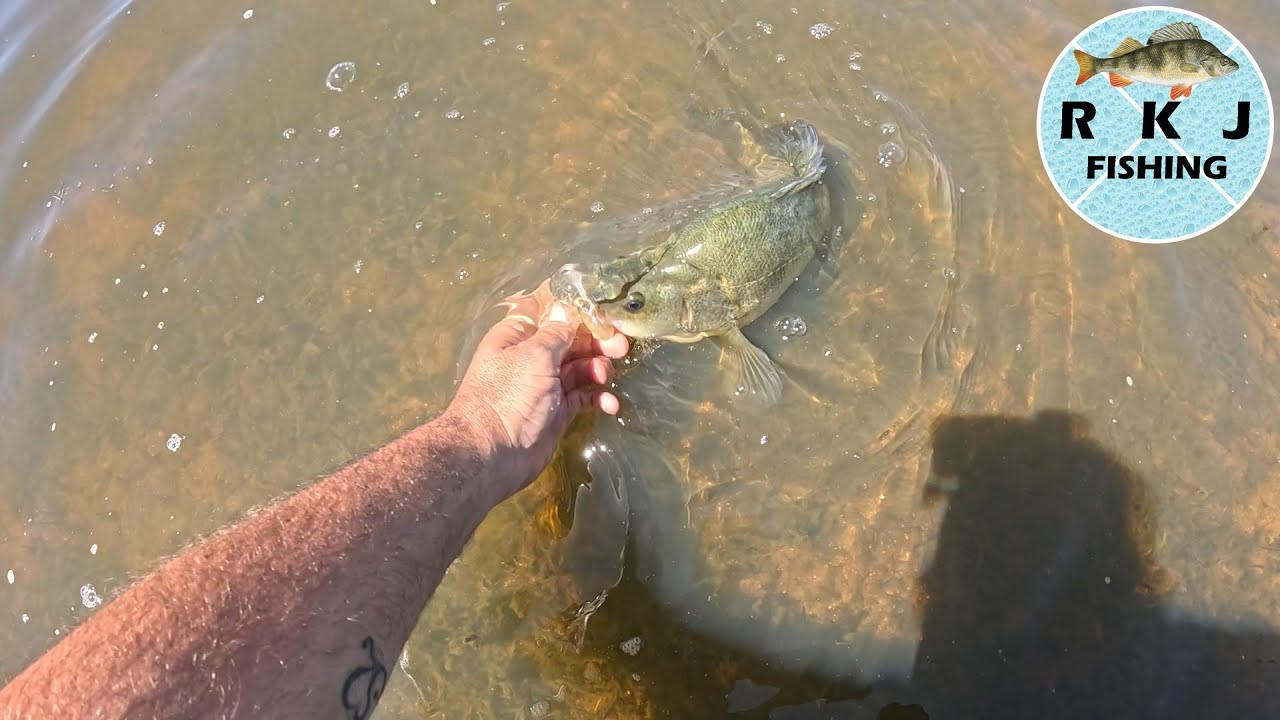 Action packed fishing at Barkers Creek Reservoir - YouTube