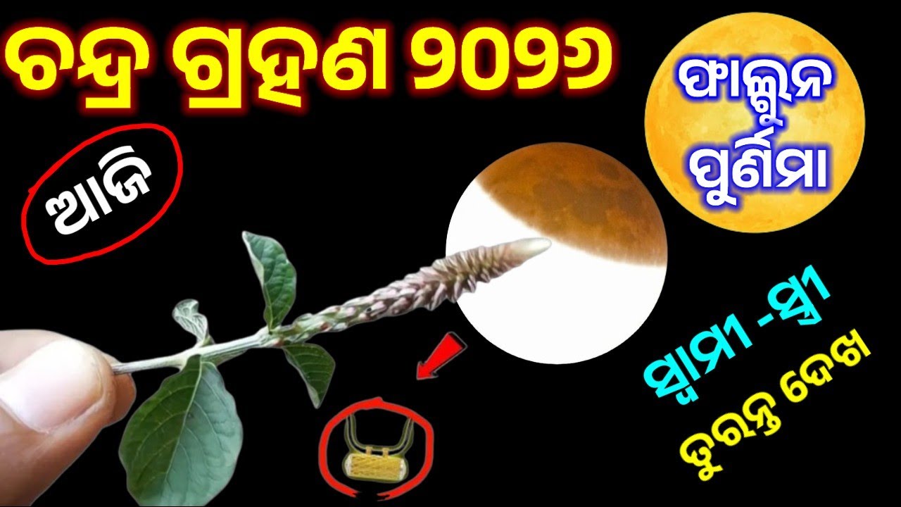 ଚନ୍ଦ୍ର ଗ୍ରହଣ ଦିନ ଚୁପଚାପ ଘରକୁ ନେଇ ଆସନ୍ତୁ ଏହି ଗଛ ର ଚେର ରାତାରାତି କୋଟିପତି ll ଶତ୍ରୁ ଆସି ପାଦ ଧରିବ ll