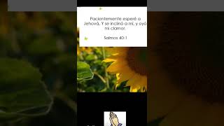 Dios Nos Habla A Través De Su Palabra