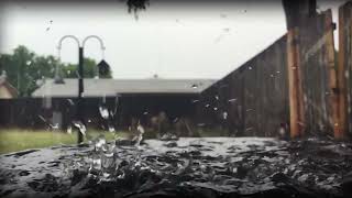 Gardens In The Rain , David Cottam , Performed By Shady Nagy