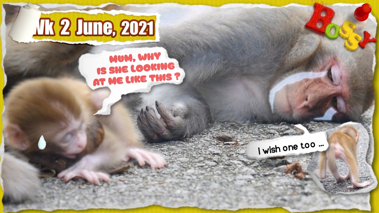 32 Poor girls, they both have the same longing in their  👀 🥺