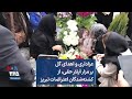عزاداری و اهدای گل بر مزار آیلار حقی از کشته شدگان اعتراضات تبریز عزاداری و اهدای گل بر مزار آیلار حقی از کشته شدگان اعتراضات تبریز