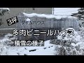 多肉ビニールハウス　雪が積もった日の様子