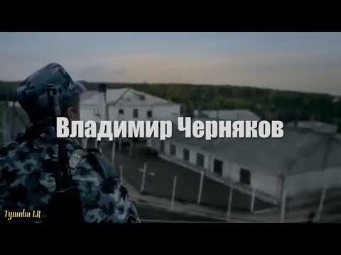 Трутень -Бродяга