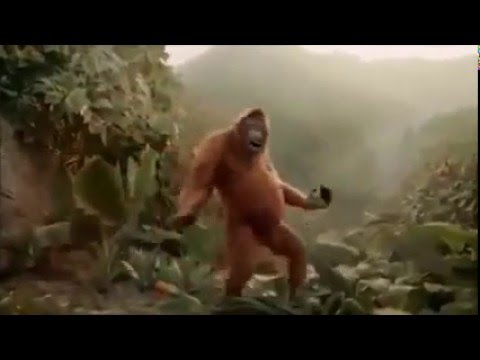 Wenn es endlich Freitag ist