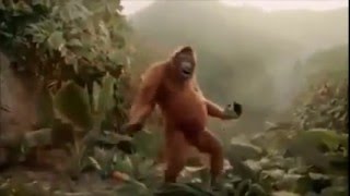 Wenn Es Endlich Freitag Ist