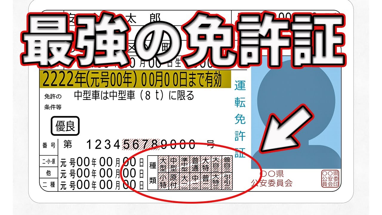 激レア！ 最強の免許証】 持ってるだけでかなりスゴイ 「 フルビット