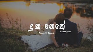Duka Nethe Slowed Reverb | Jude Rogans | Bimsara Music