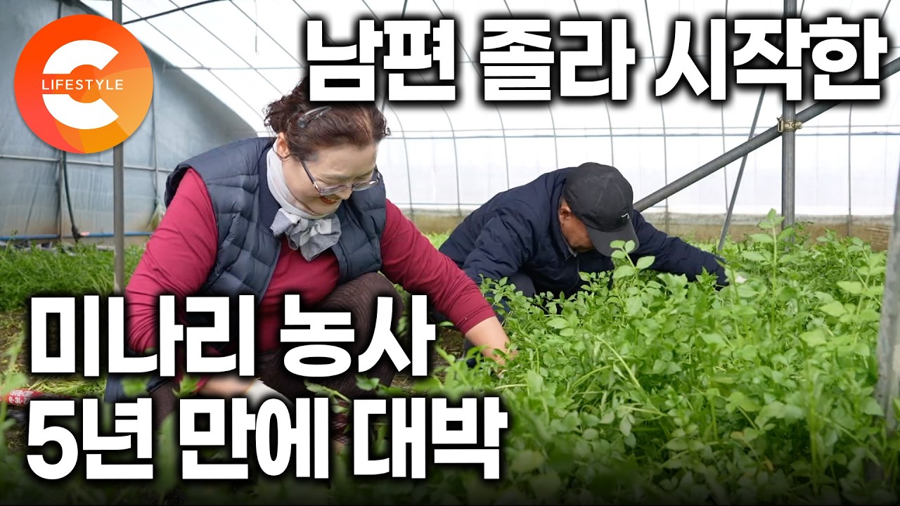 쇼핑이 낙이던 아내, 농사가 체질이었다. 남편 설득해 귀농 후 미나리 농사 시작한 아내 , 5년 만에 대박난 이유ㅣ#한국기행