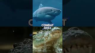 Great White Shark vs Saltwater Crocodile