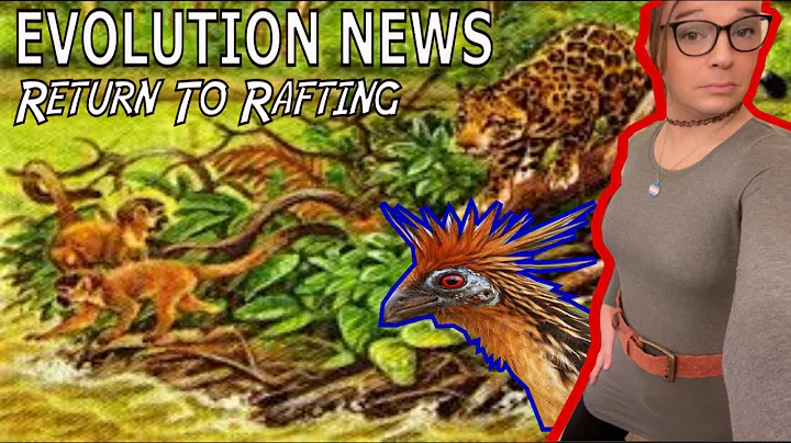CreationWatch - David Klinghoffer || The Reality o...