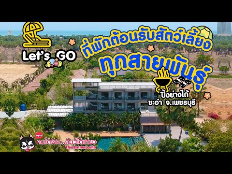 คนได้พัก...สัตว์ได้เที่ยว แนะนำที่พักต้อนรับสัตว์เลี้ยงย่านชะอำ เจ้าของน่ารักมาก