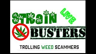 Hunting for New Scammers and the Return of JIMMY (The peoples Budda) - Strain Busters (Scammer Trol)