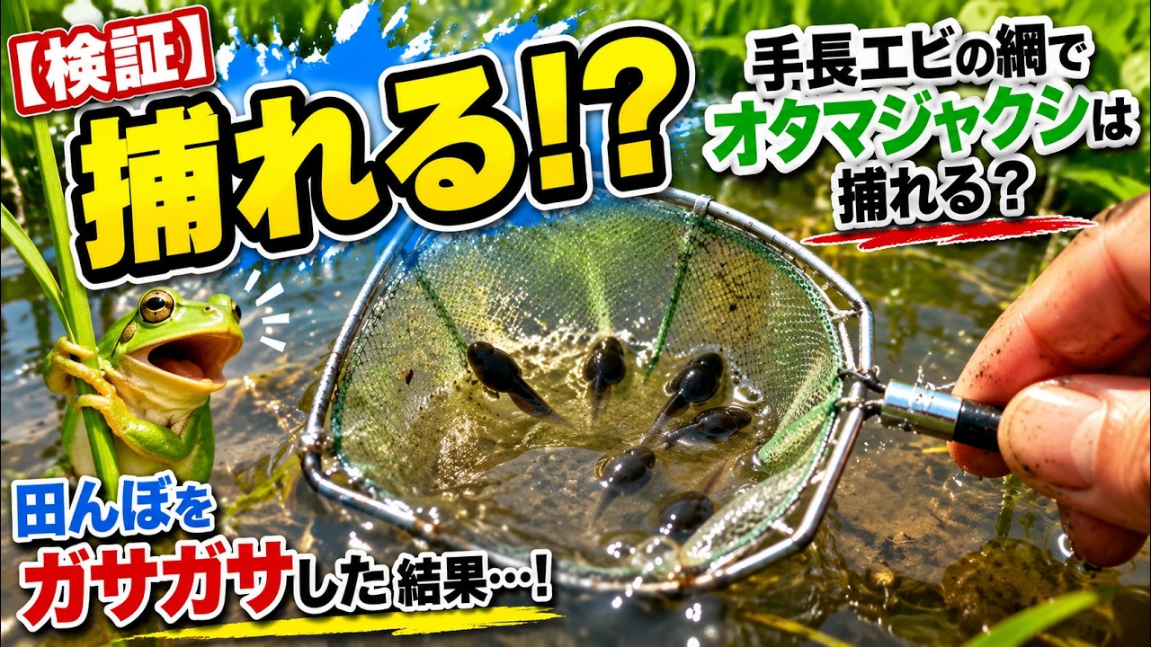 Verification] Can you catch tadpoles with a shrimp net? Results of