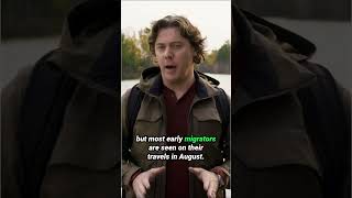 Critters on the Move: A Fall Farewell #answerstv #migration #birds #autumn #geese #elk #animals
