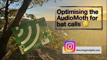 Optimising AudioMoth settings for recording bats