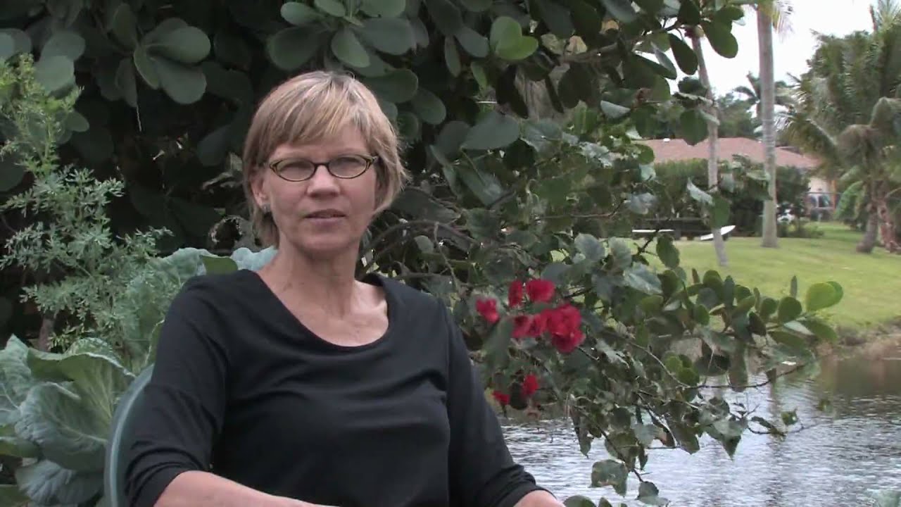 Колибри: Где спят колибри?