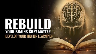Rebuild Your Brains Grey Matter Develop Your Higher Learning Attention Memory Thoughts 528 Hz