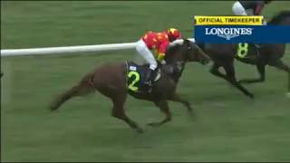 Singapore 20171119 race 2 KING OF WAR