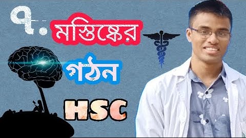 ব্রেইন পর্ব০৭,মস্তিষ্ক এর গঠন,সমন্বয় ও নিয়ন্ত্রণ,৮ম অধ্যায় zoology chapter 8 lecture 1 part7