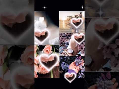 أنت الحته الحلوة في قلبي ميرنا شلبي تصميمي اكسبلور حالات واتس لايك دويتو قهوتي