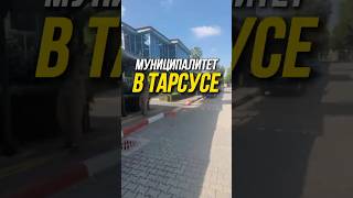 Муниципалитет в Тарсусе | Постановка на налоговый учёт и оплата налогов | Турция, Мерсин#shorts