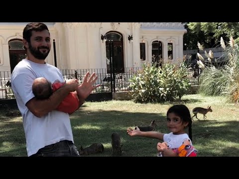 Экопарк в Буэнос- Айресе. Милые мары гуляют в парке😍