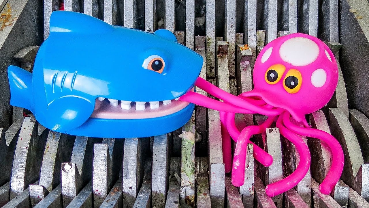 SHREDDING an OCTOPUS! SHARKS AND FISH DESTROYED! COOL EXPERIMENT