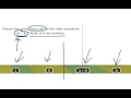 Understanding Factor Pairs and Distributive Property